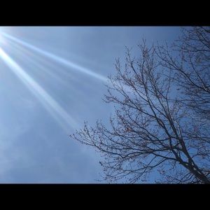 Meet your Posher, Lilly